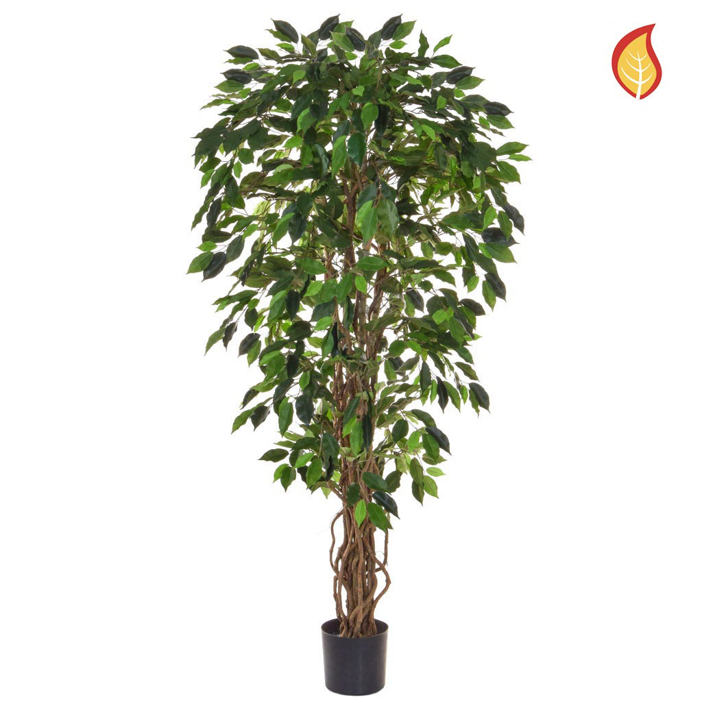 Artificial Green Ficus Liana Tree 150cm FR from plantART